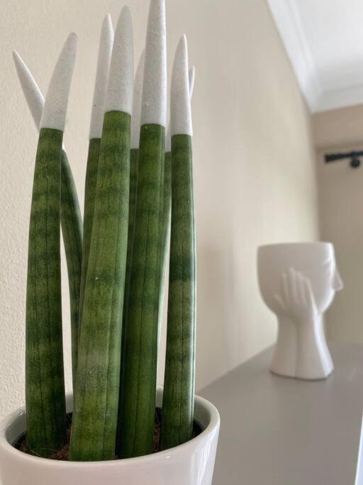 Cozy Flat Appartments In Appartement